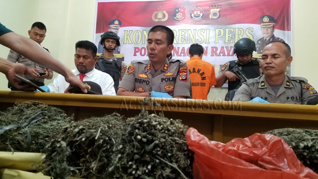4 Pemuda Sumbar Ditangkap Bawa 85 Kg Ganja di Nagan Raya